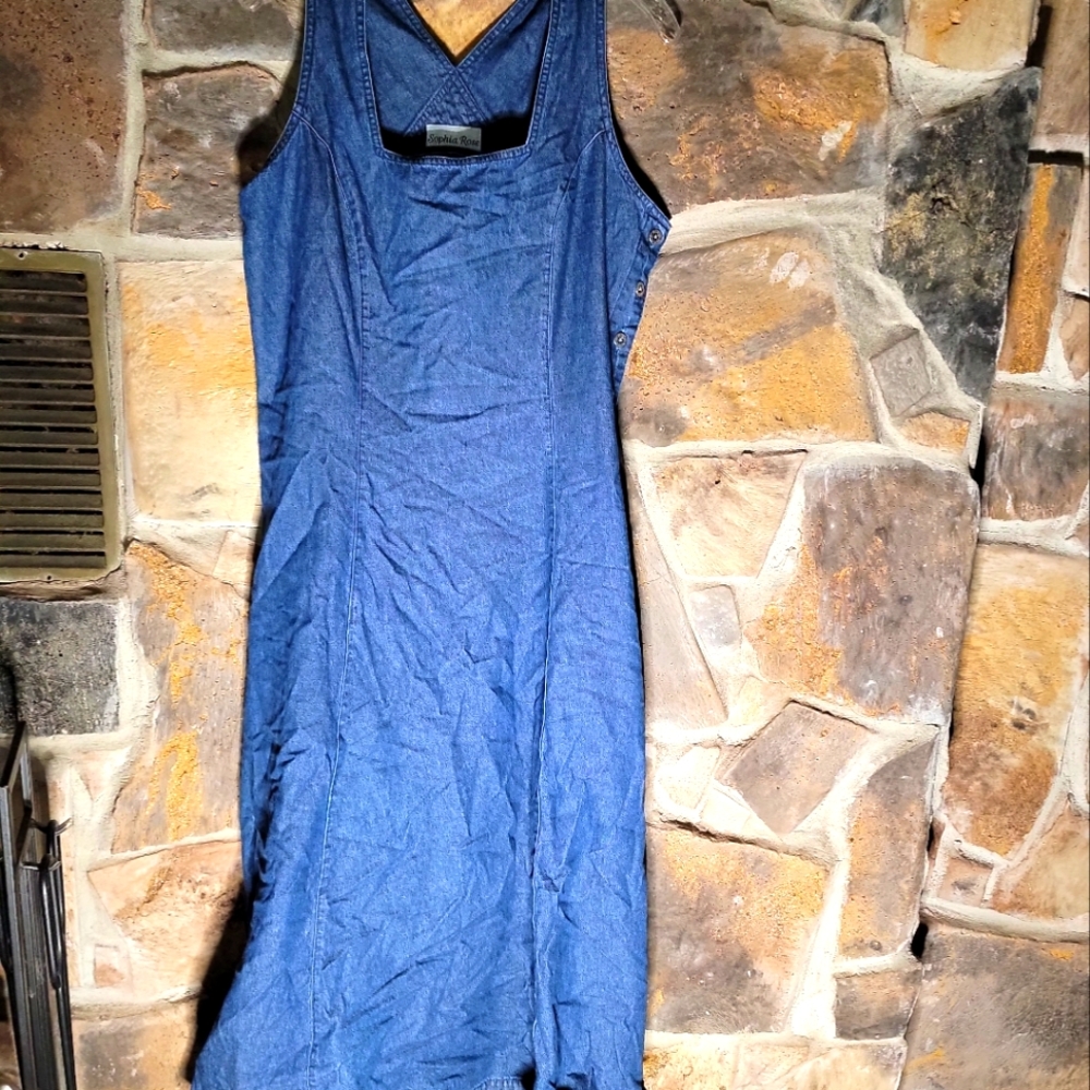 Sophia rose jean blue dress